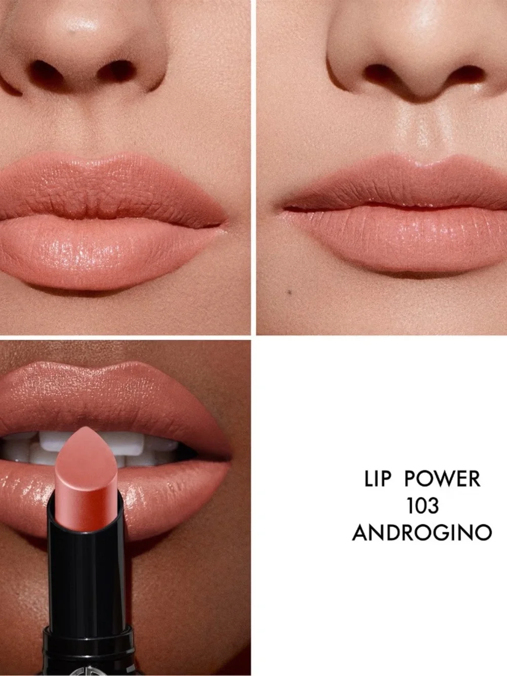 Giorgio Armani's Lipstick 103 Androgino